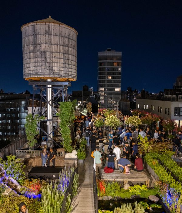 A lively rooftop gathering with plants and a water tower at night.